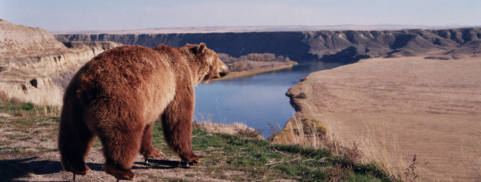 Polebridge Bear Fair seeks to educate community - Vimarsana News